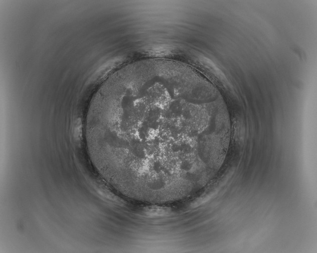 X0000110880549200906181227