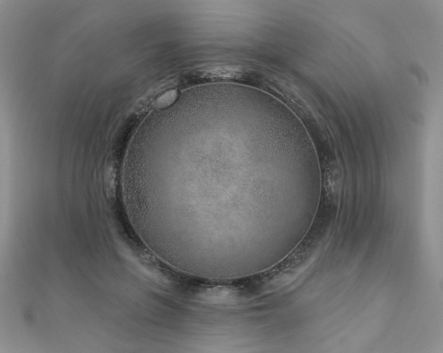 X0000110880551200906181227