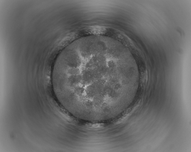 X0000110880553200906181227