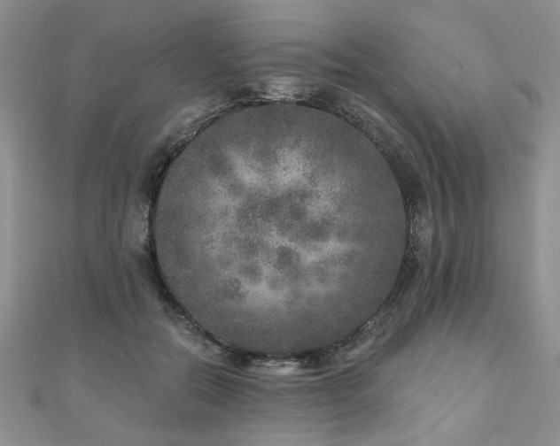 X0000110880554200906181227