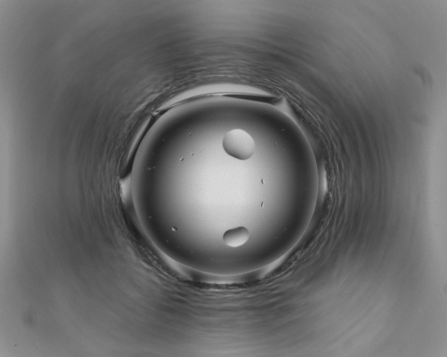 X0000110880556200906181227