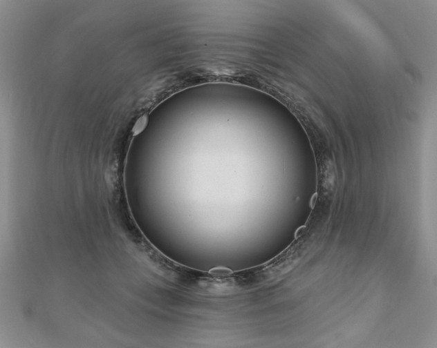X0000110880559200906181227