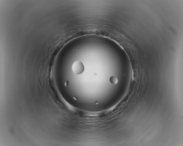 X0000110880560200906181227