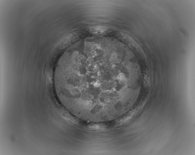 X0000110880561200906181227