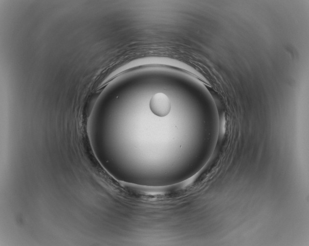 X0000110880564200906181227