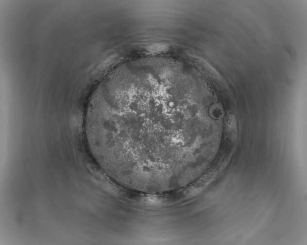 X0000110880565200906181227