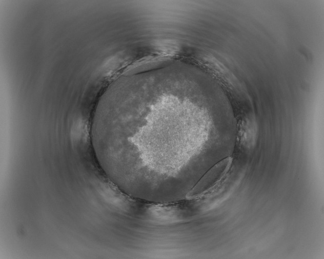 X0000110880568200906181227