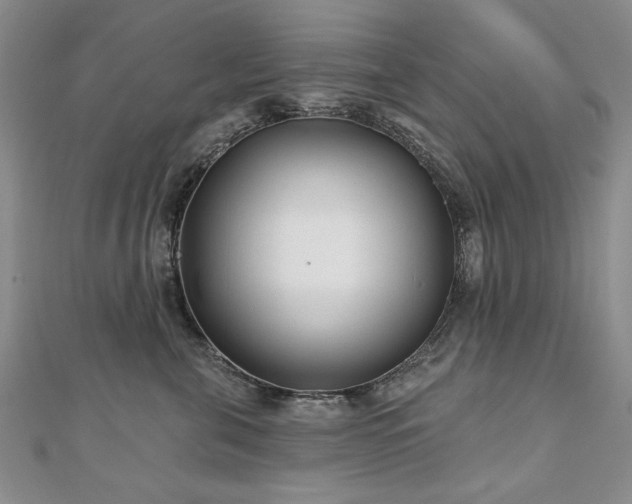 X0000110880571200906181227