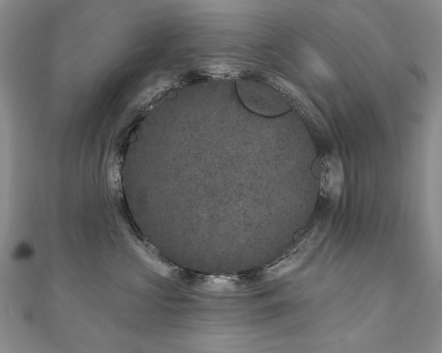 X0000110880573200906181227