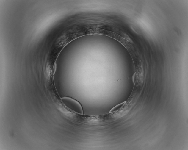 X0000110880574200906181227