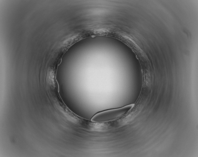 X0000110880575200906181227
