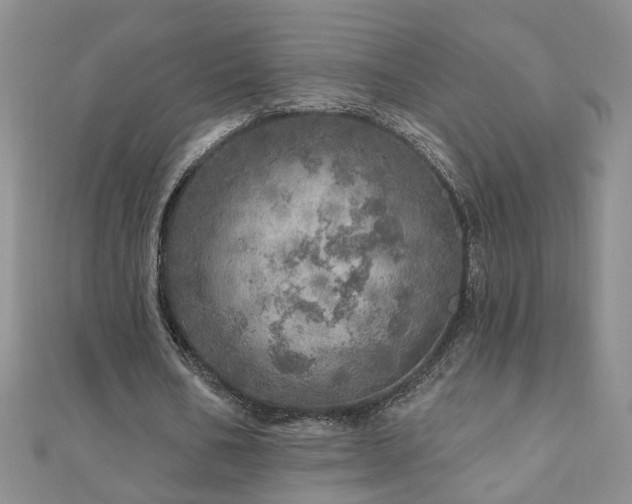X0000110880578200906181227