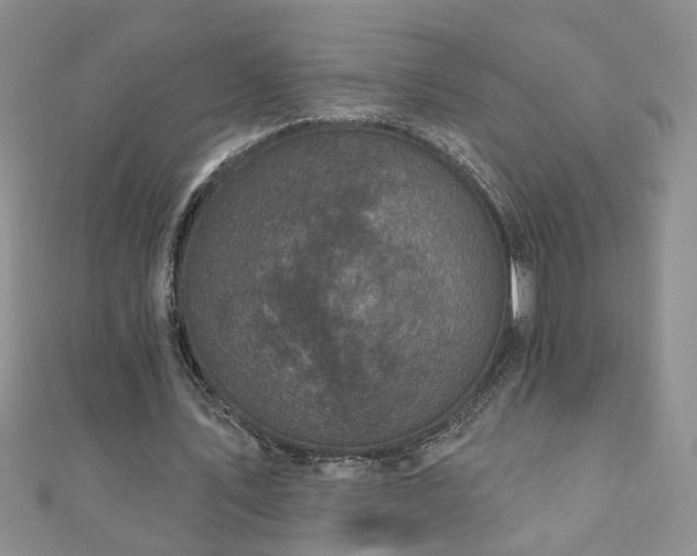 X0000110880579200906181227