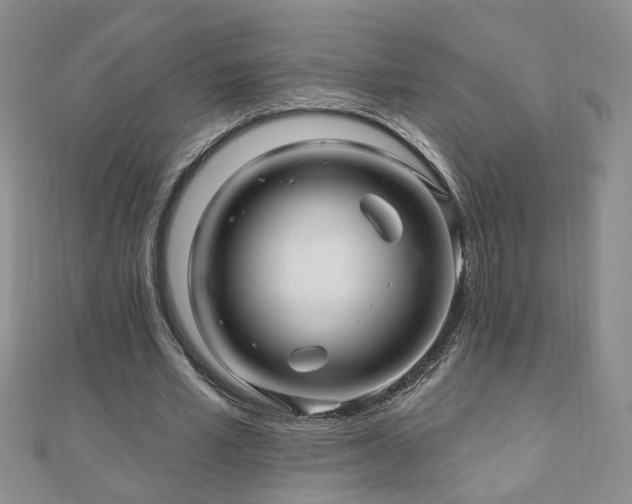 X0000110880581200906181227
