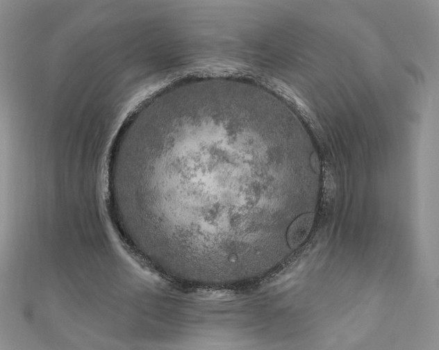 X0000110880582200906181227