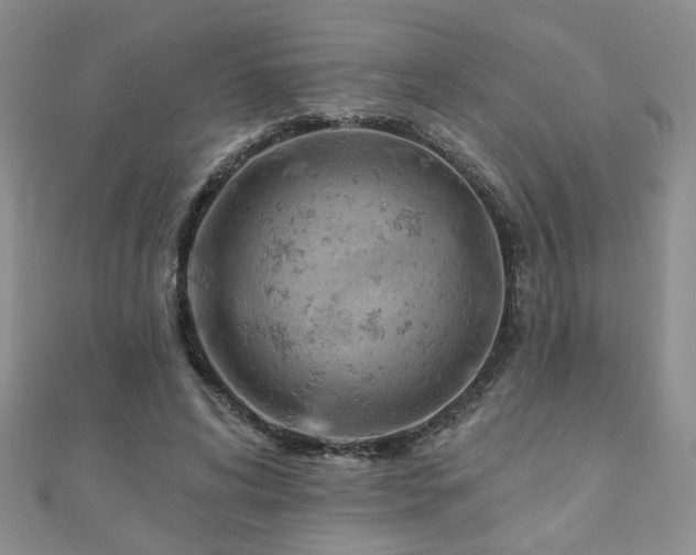 X0000110880592200906181227