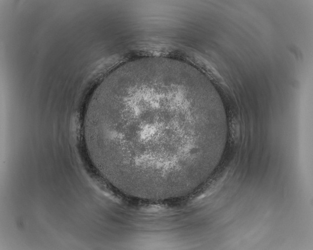 X0000110880594200906181227