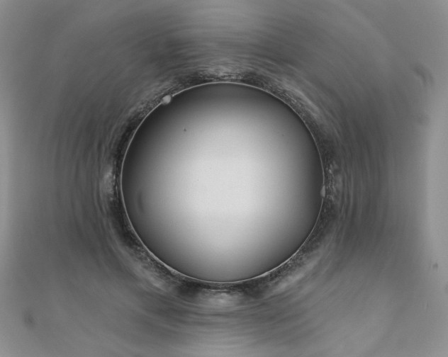 X0000110880597200906181227