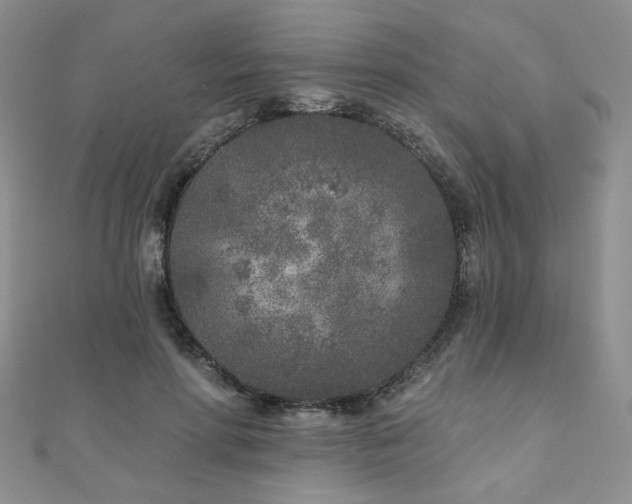X0000110880598200906181227