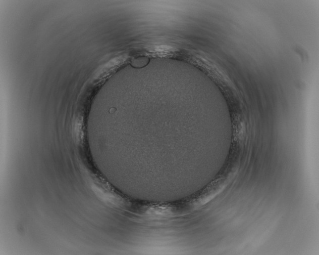 X0000110880599200906181227