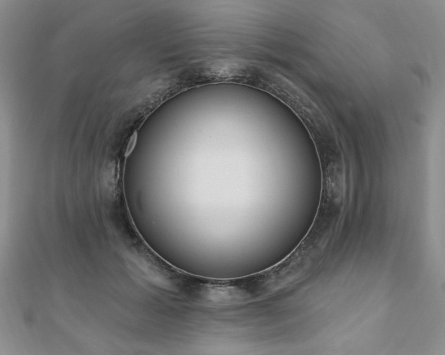 X0000110880605200906181226