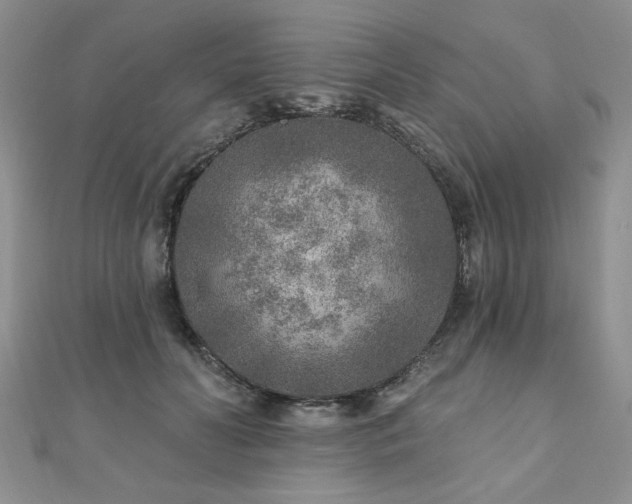 X0000110880606200906181226