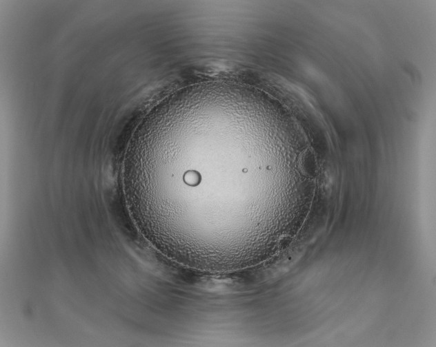 X0000110880607200906181226