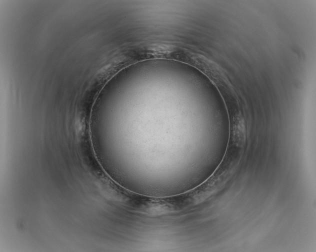 X0000110880608200906181226