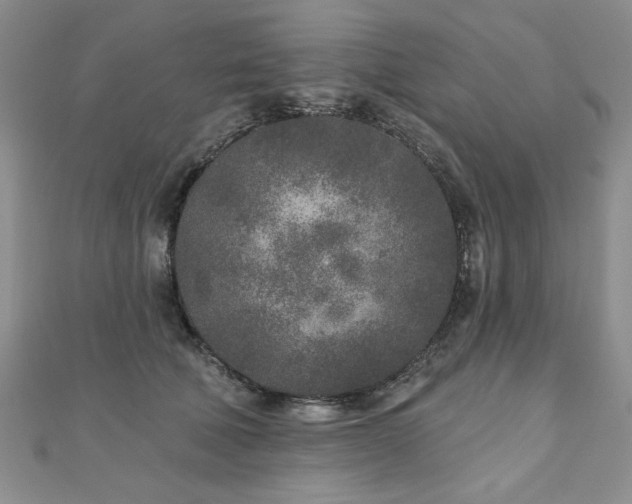 X0000110880610200906181226