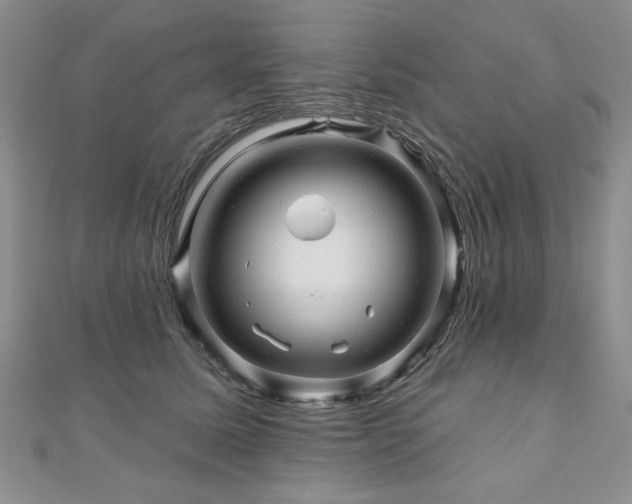 X0000110880611200906181226