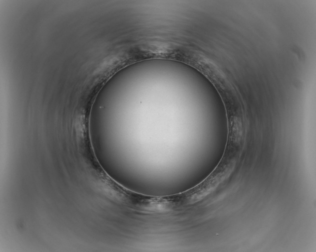 X0000110880612200906181226