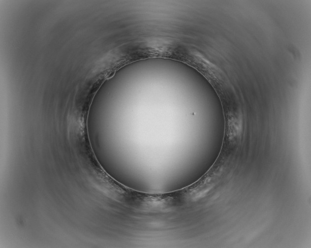 X0000110880613200906181226