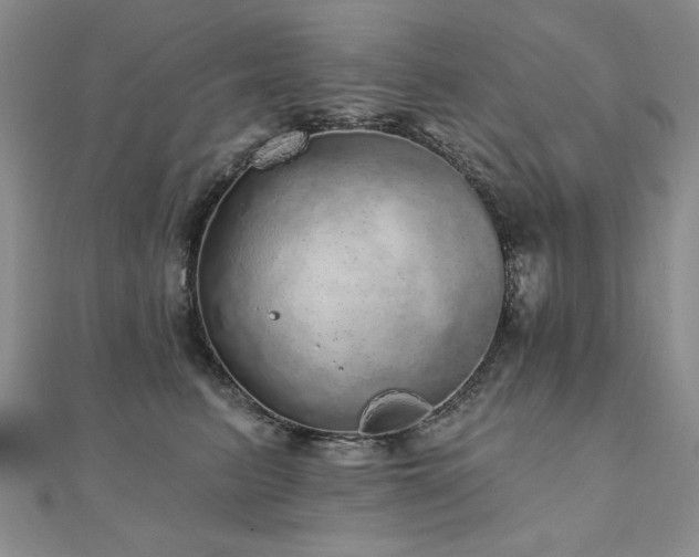X0000110880615200906181226