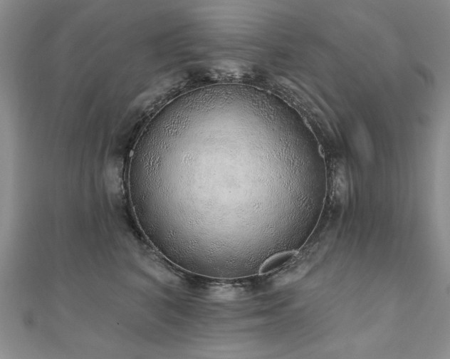 X0000110880616200906181226