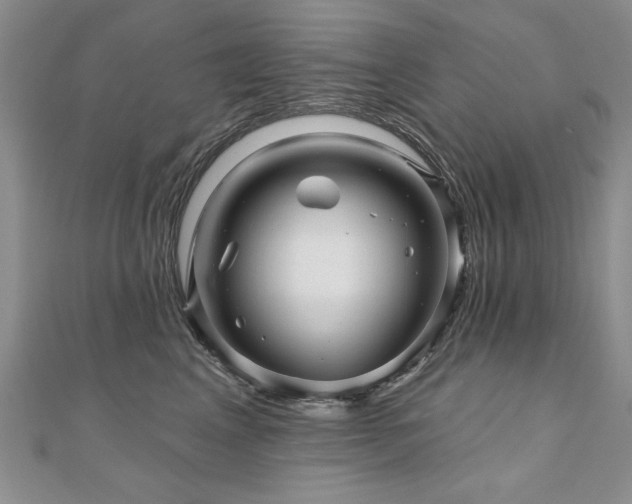 X0000110880617200906181226
