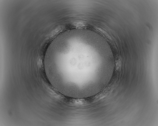 X0000110880618200906181226