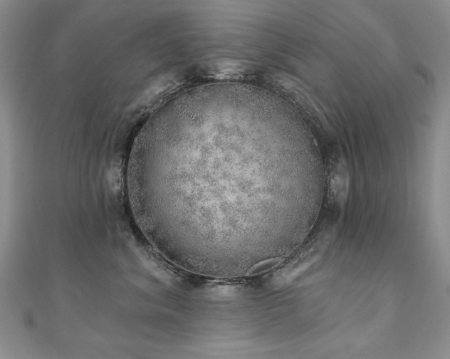 X0000110880620200906181226