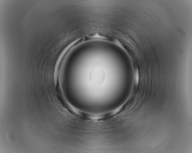 X0000110880621200906181226