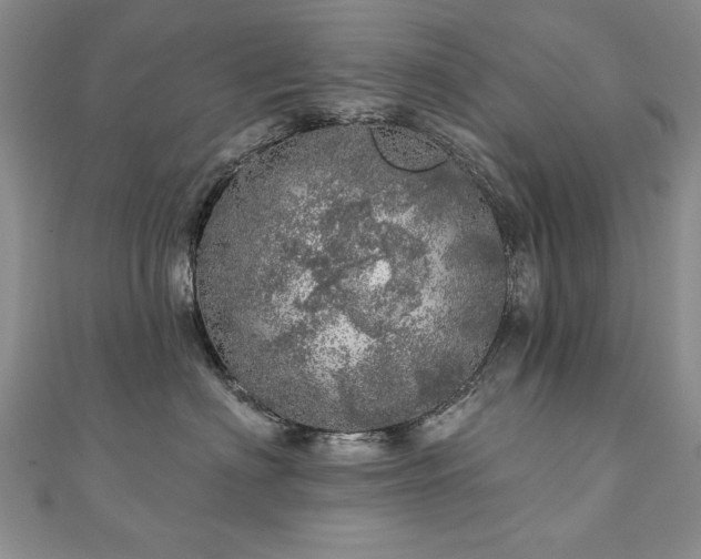 X0000110880622200906181226