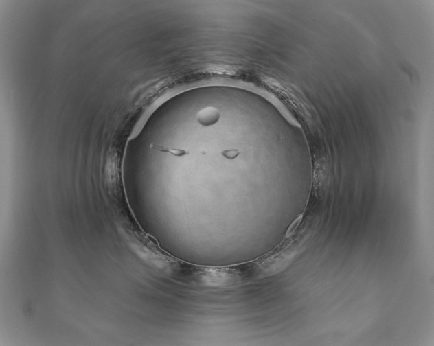 X0000110880623200906181226