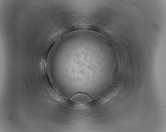 X0000110880624200906181226