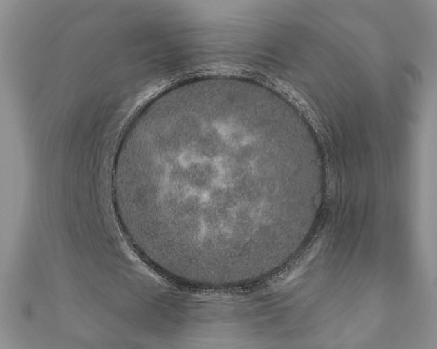 X0000110880625200906181226