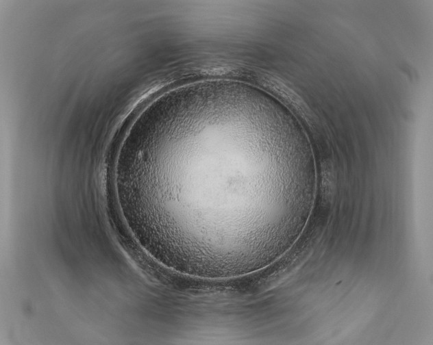 X0000110880626200906181226