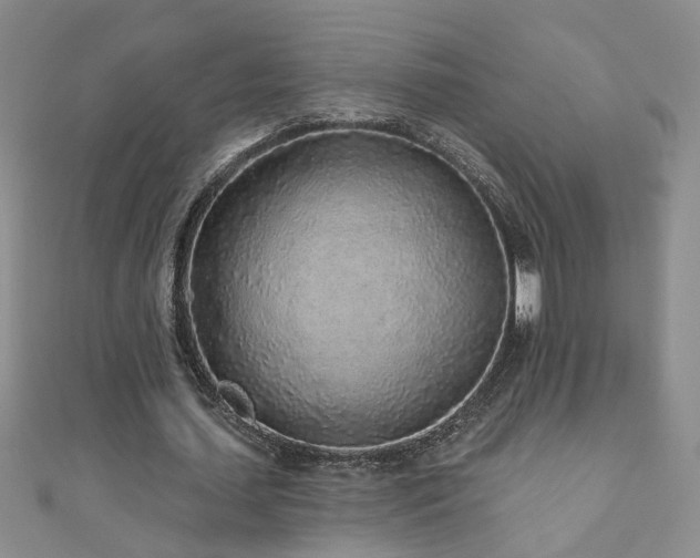 X0000110880627200906181226