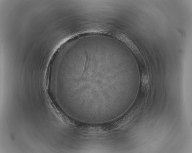 X0000110880628200906181226