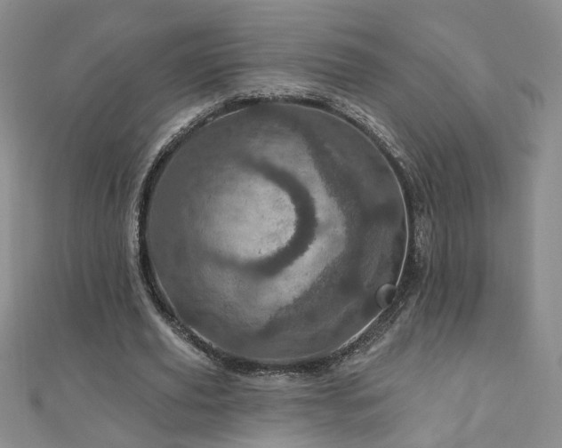 X0000110880629200906181226