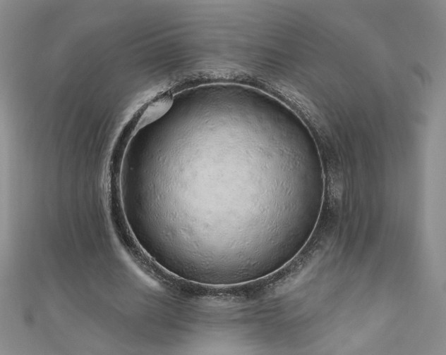 X0000110880630200906181226