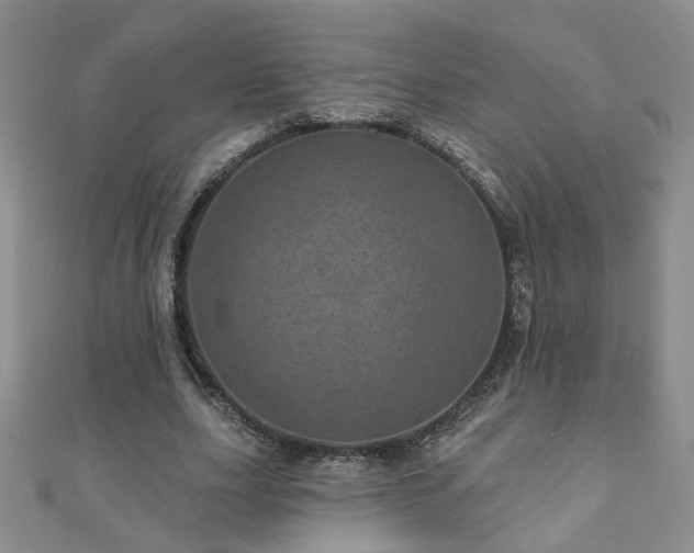 X0000110880631200906181226