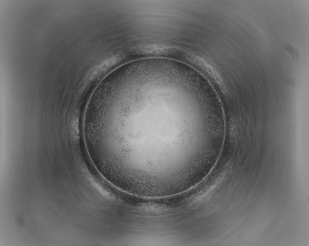 X0000110880633200906181226