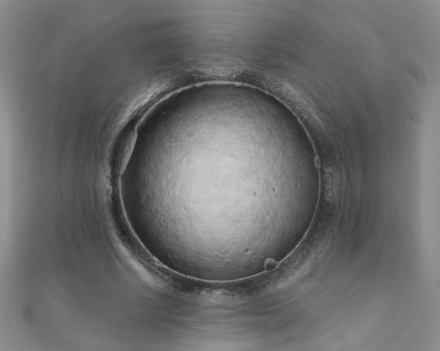 X0000110880634200906181226